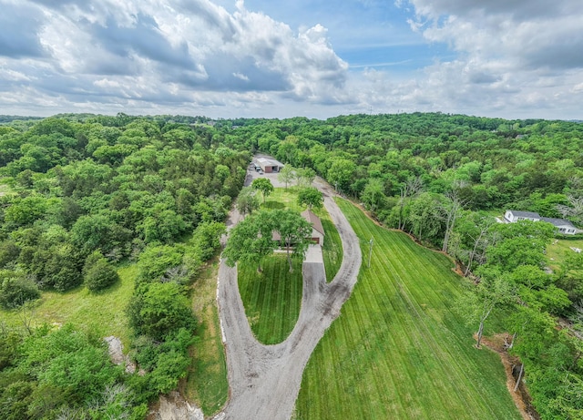 aerial view with a forest view