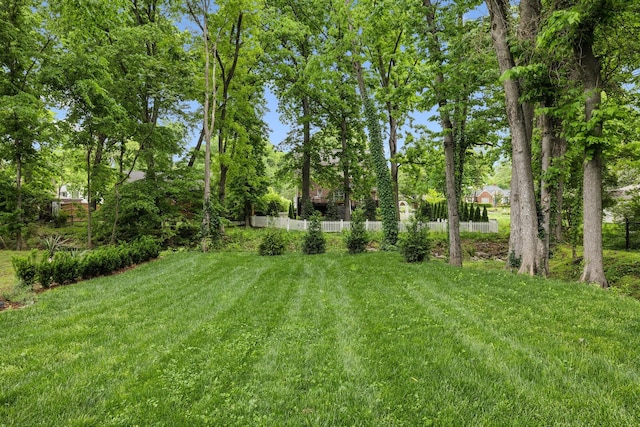 view of yard