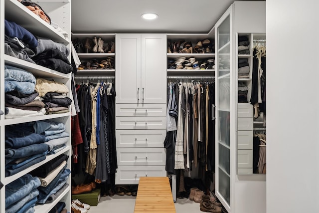 view of walk in closet