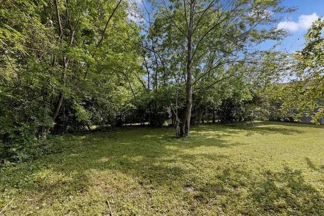 view of yard featuring a forest view