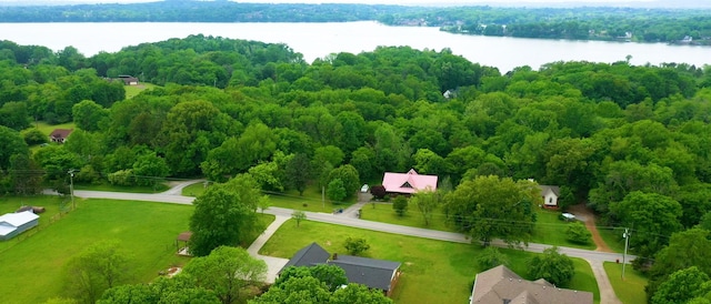 bird's eye view featuring a water view and a forest view