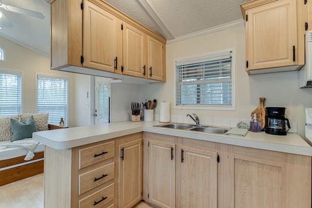 kitchen with light countertops, light brown cabinetry, crown molding, and a textured ceiling