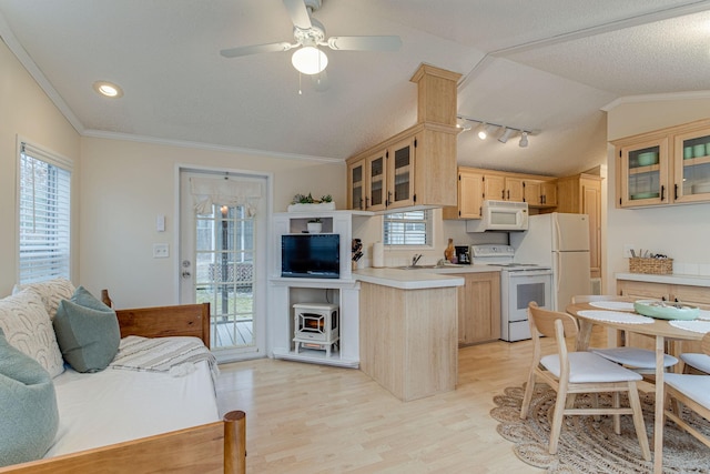 kitchen with vaulted ceiling, light wood-style flooring, a healthy amount of sunlight, and white appliances