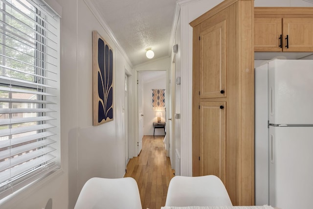 corridor featuring light wood finished floors, ornamental molding, and a textured ceiling