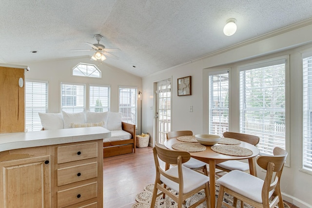 dining space with lofted ceiling, a wealth of natural light, ceiling fan, and a textured ceiling