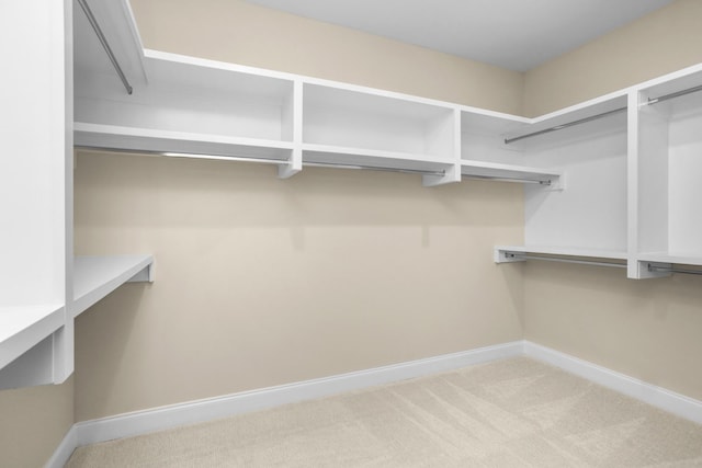 5958 Hunt Valley Dr, Spring Hill, TN 37174 - spacious closet with carpet flooring