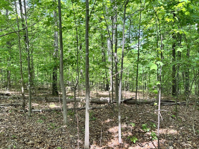 0 Sarvis Ridge Rd, Normandy, TN 37360