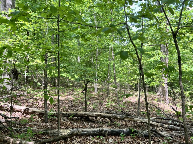 0 Sarvis Ridge Rd, Normandy, TN 37360