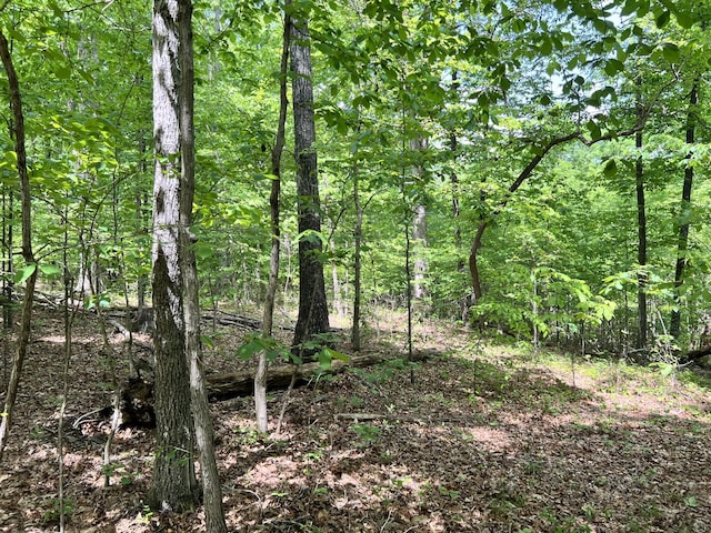 0 Sarvis Ridge Rd, Normandy, TN 37360