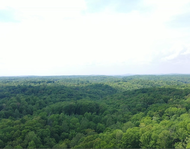 0 Sarvis Ridge Rd, Normandy, TN 37360