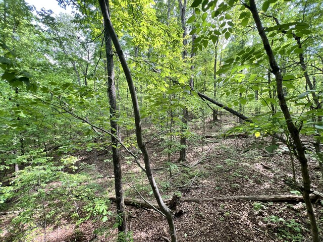 0 Sarvis Ridge Rd, Normandy, TN 37360