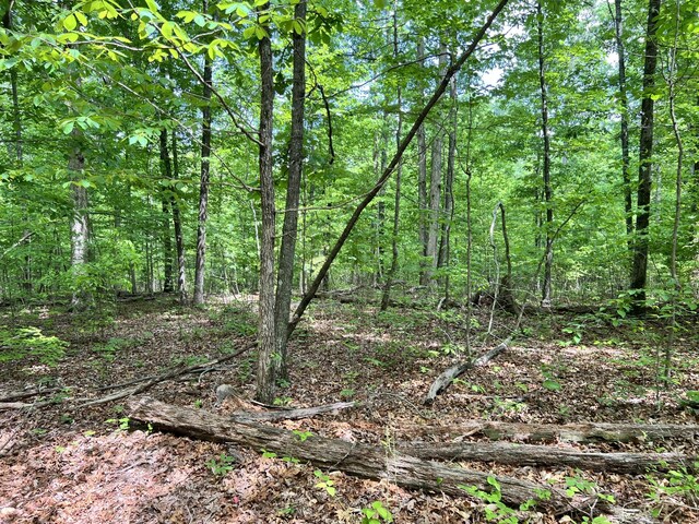 0 Sarvis Ridge Rd, Normandy, TN 37360
