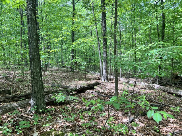 0 Sarvis Ridge Rd, Normandy, TN 37360