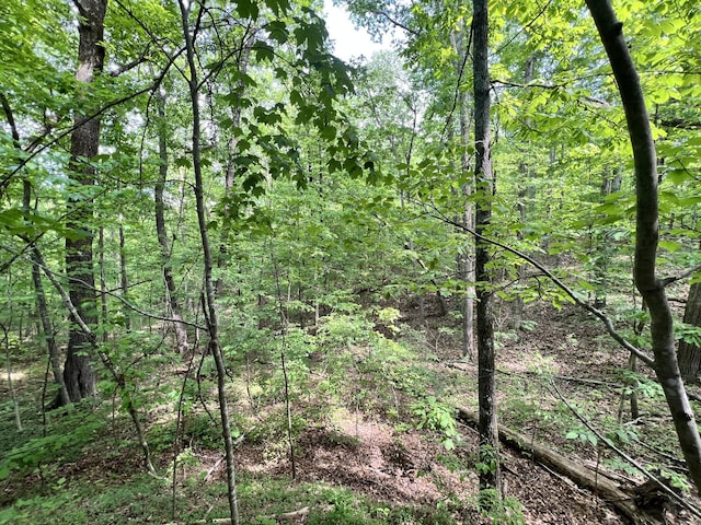 0 Sarvis Ridge Rd, Normandy, TN 37360