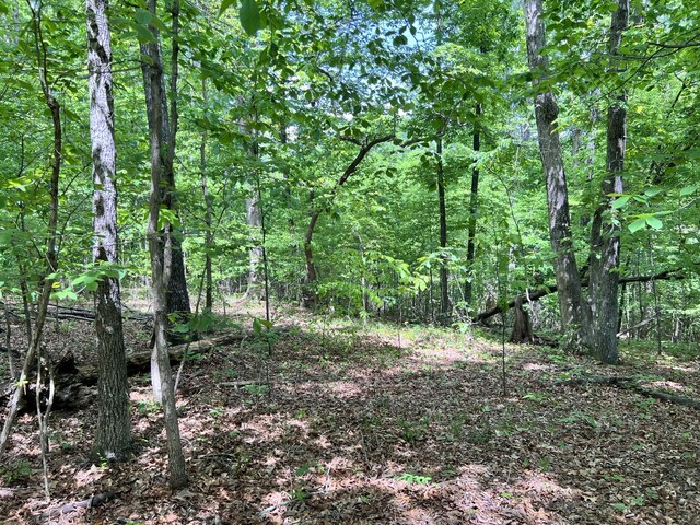 0 Sarvis Ridge Rd, Normandy, TN 37360