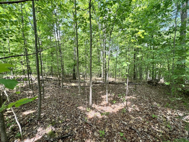 0 Sarvis Ridge Rd, Normandy, TN 37360