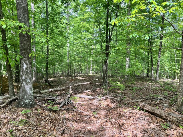 0 Sarvis Ridge Rd, Normandy, TN 37360