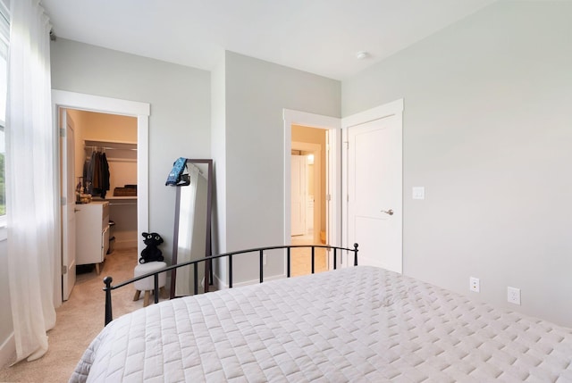 carpeted bedroom with a spacious closet and a closet