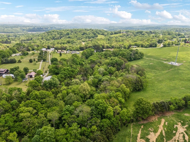 bird's eye view with a view of trees