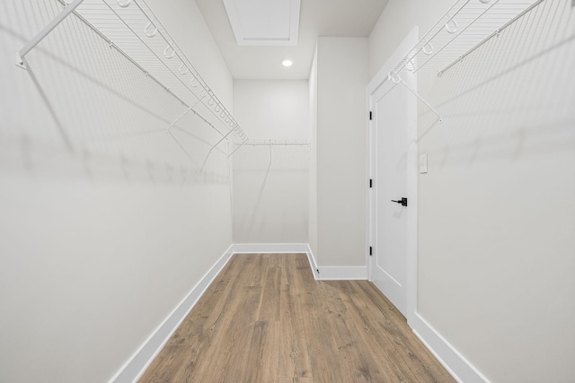 10114 Bighorn Ln, Bell Buckle, TN 37020 - walk in closet with wood finished floors