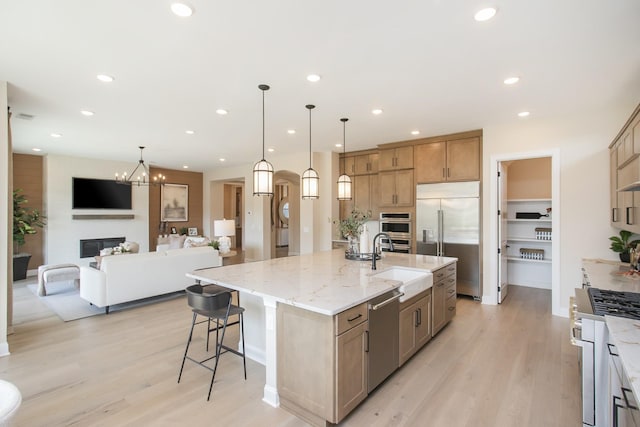kitchen featuring a sink, light wood finished floors, stainless steel appliances, and light stone countertops