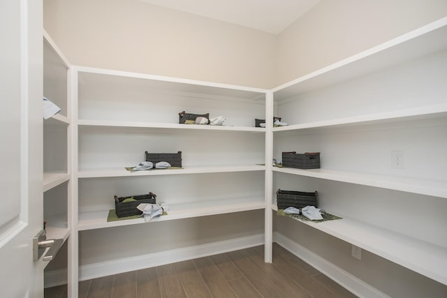 5963 Hunt Valley Dr, Spring Hill, TN 37174 - view of storage area