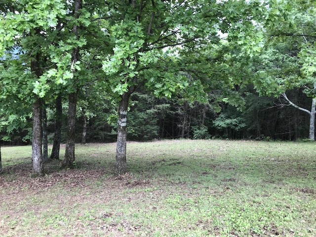 0 Skyhigh Dr, Dunlap, TN 37327 - photo 1