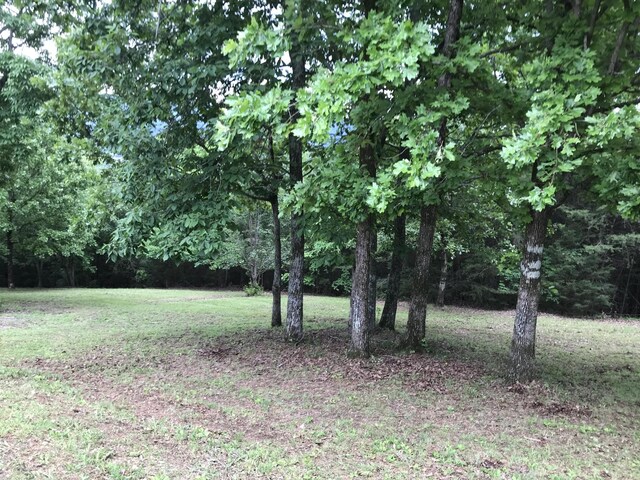 0 Skyhigh Dr, Dunlap, TN 37327 - photo 6