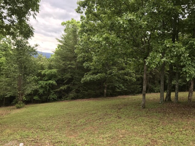 0 Skyhigh Dr, Dunlap, TN 37327 - photo 3
