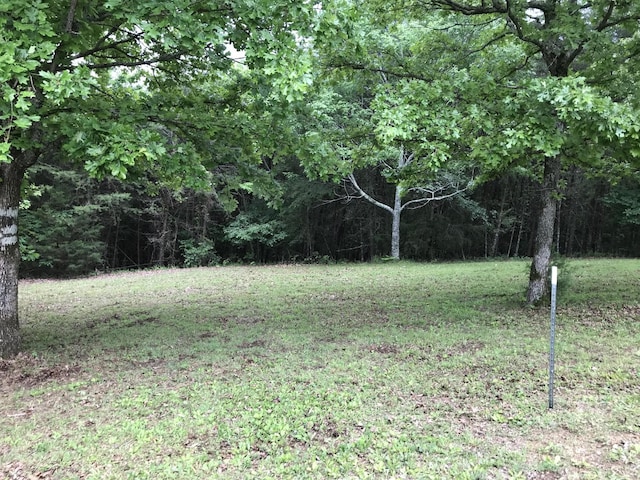 0 Skyhigh Dr, Dunlap, TN 37327 - photo 5