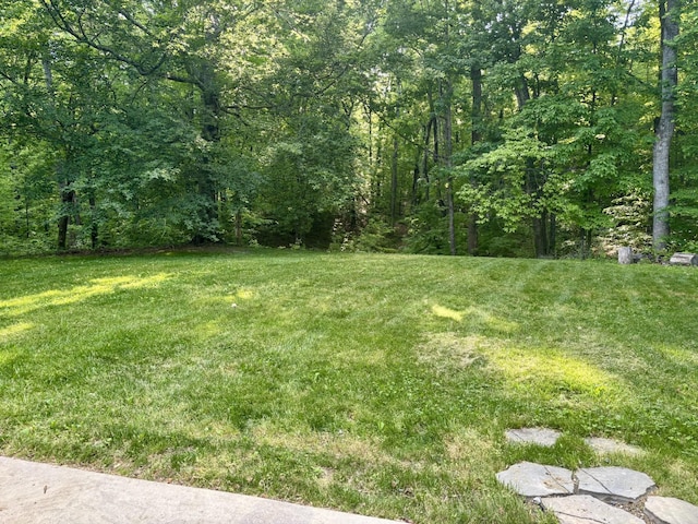 view of yard with a wooded view