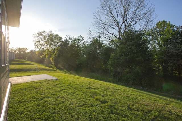 126 W Cassa Way, Mount Juliet, TN 37122 - view of yard
