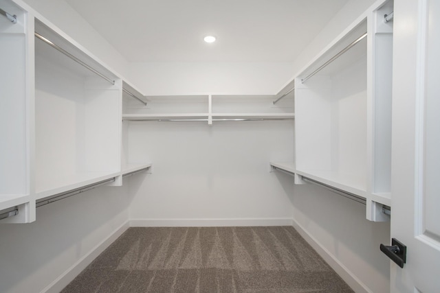 126 W Cassa Way, Mount Juliet, TN 37122 - walk in closet with dark colored carpet