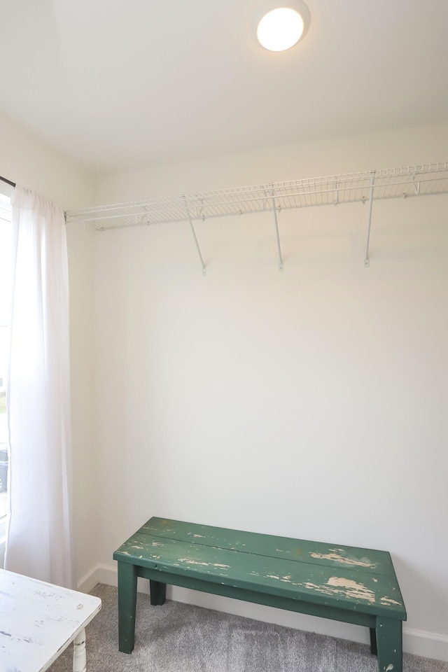 2804 Sonoma Way, Columbia, TN 38401 - walk in closet with carpet flooring