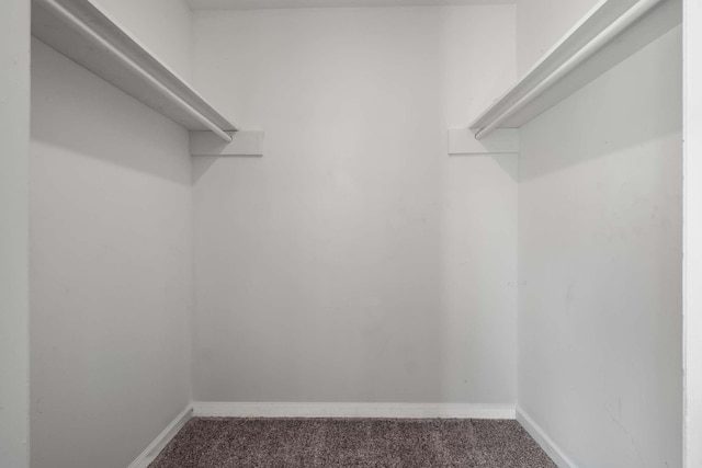 5000 Trailwater Dr, Antioch, TN 37013 - walk in closet featuring carpet floors