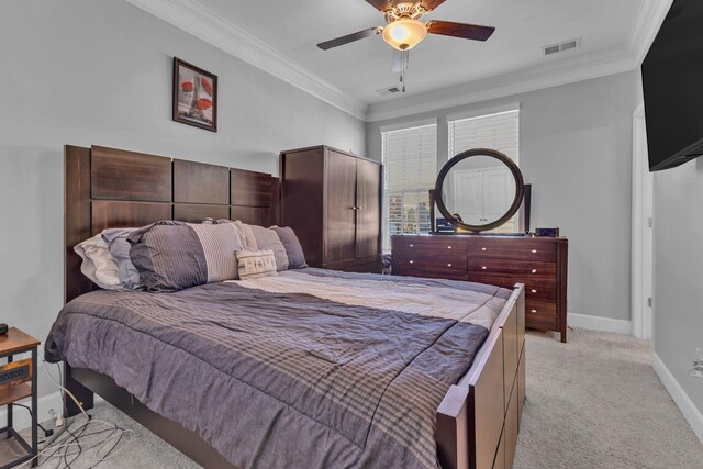 509 Ivor St, Nolensville, TN 37135 - photo 20