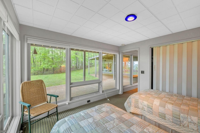 carpeted bedroom featuring multiple windows