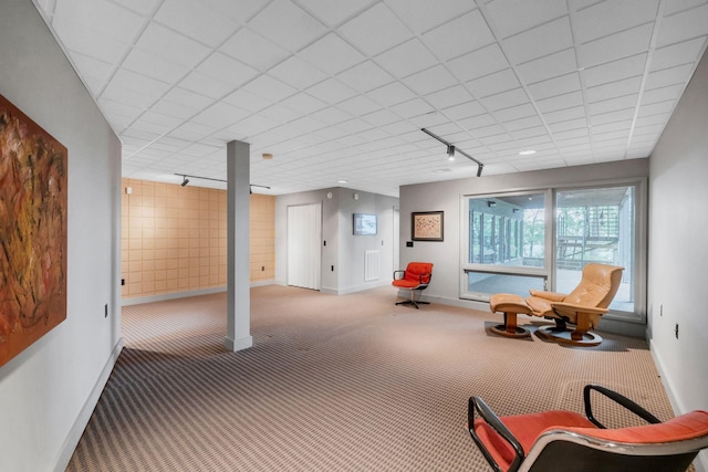 below grade area with baseboards, carpet, and track lighting