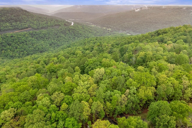 aerial view with a view of trees and a mountain view