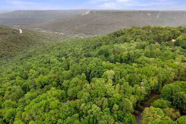bird's eye view with a mountain view and a view of trees