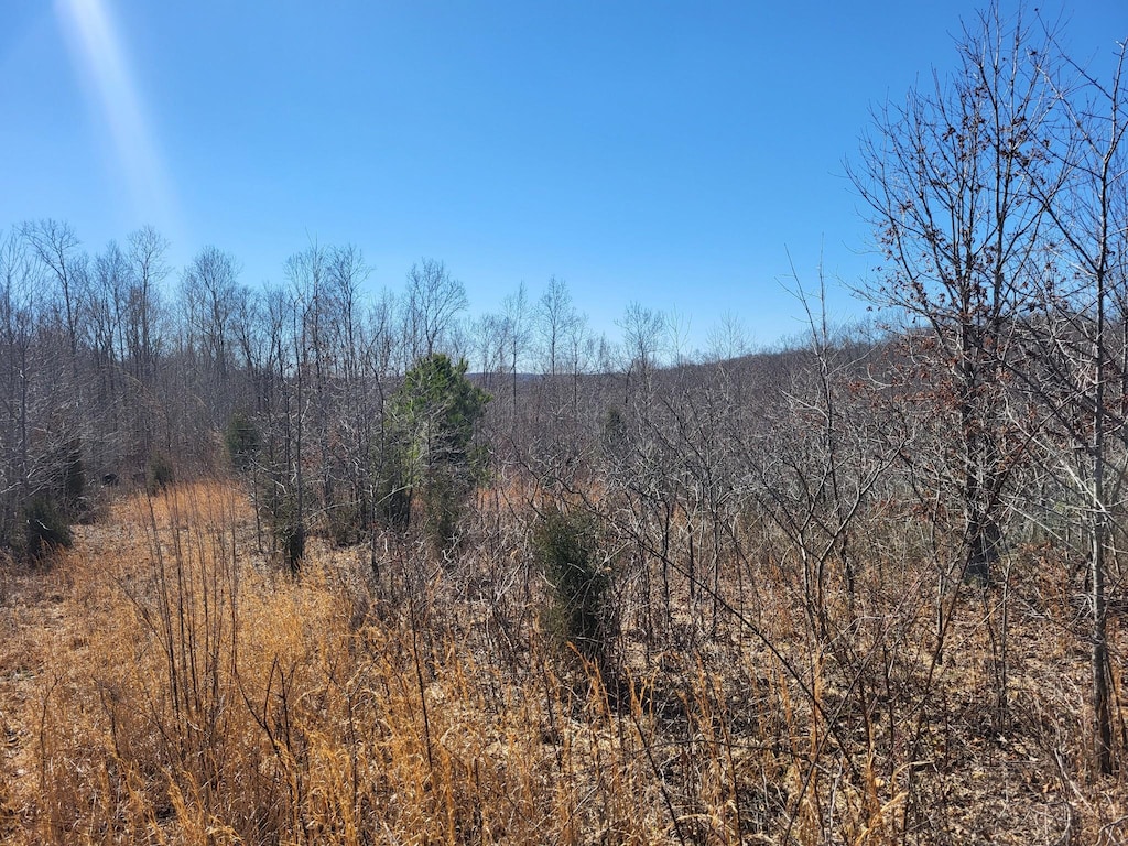 1515 Keel Hollow Rd, Erin, TN 37061