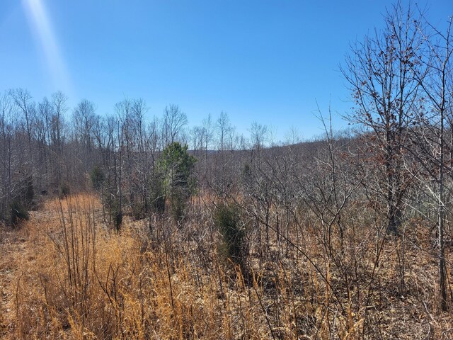 1515 Keel Hollow Rd, Erin, TN 37061