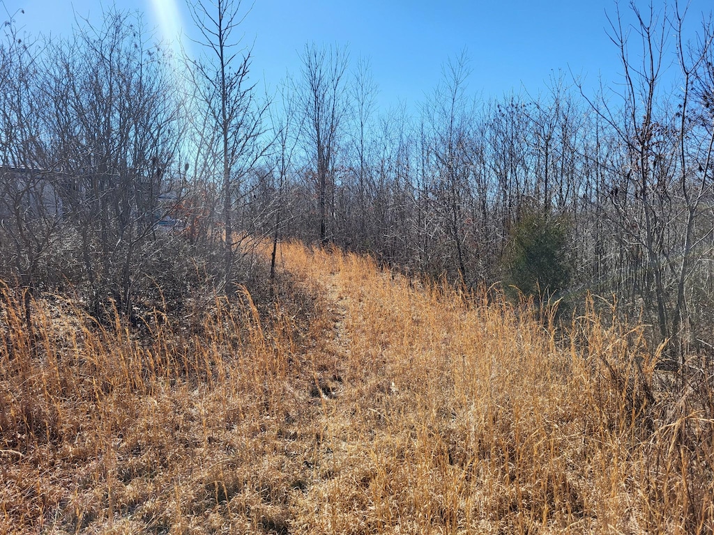 1515 Keel Hollow Rd, Erin, TN 37061