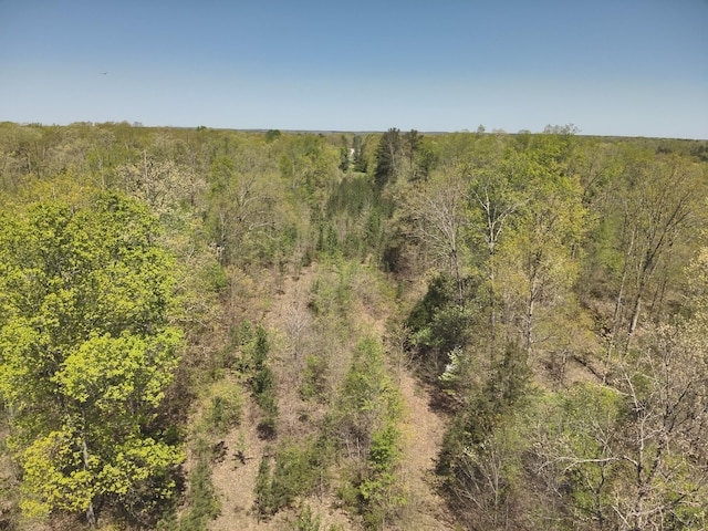417 N Park St, Hohenwald, TN 38462
