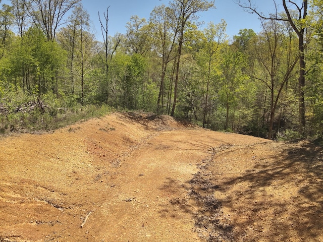 417 N Park St, Hohenwald, TN 38462