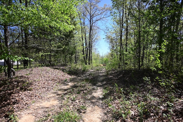 417 N Park St, Hohenwald, TN 38462