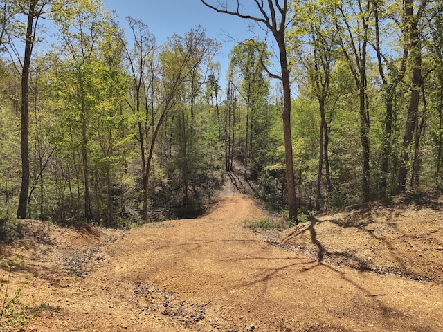 417 N Park St, Hohenwald, TN 38462