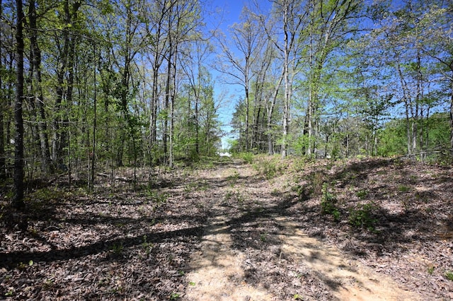 417 N Park St, Hohenwald, TN 38462