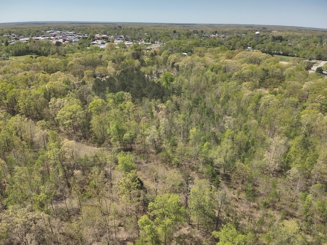 417 N Park St, Hohenwald, TN 38462