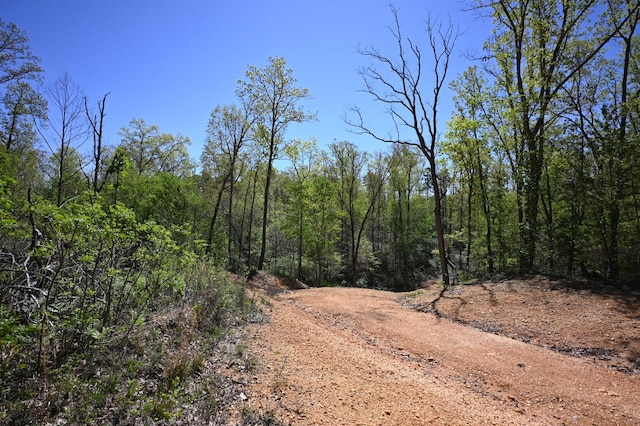 417 N Park St, Hohenwald, TN 38462